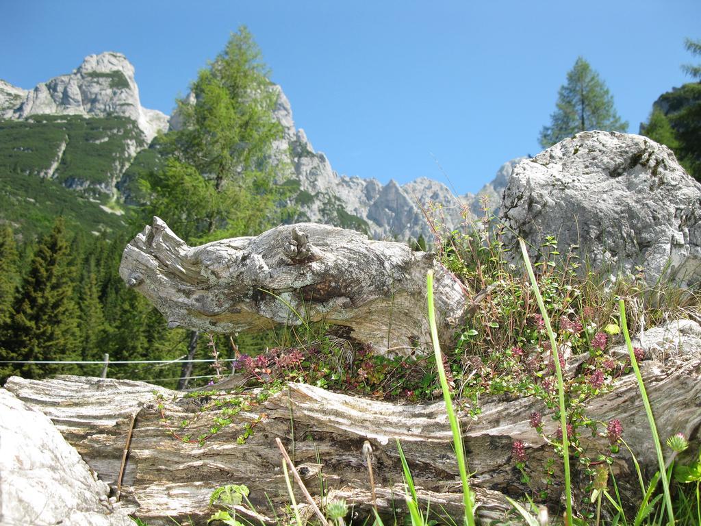 Appartamento Hausmenneweger Annaberg im Lammertal Camera foto