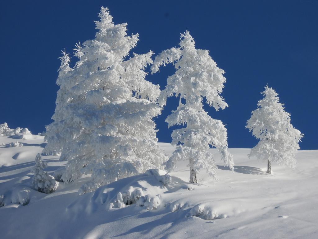 Appartamento Hausmenneweger Annaberg im Lammertal Esterno foto