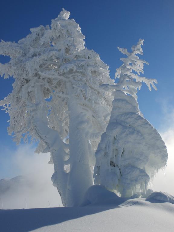 Appartamento Hausmenneweger Annaberg im Lammertal Esterno foto